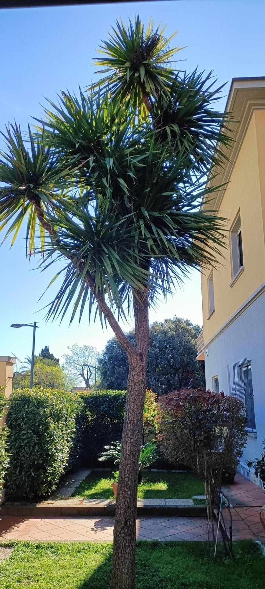 Casa In Giardino Daire Piombino Dış mekan fotoğraf